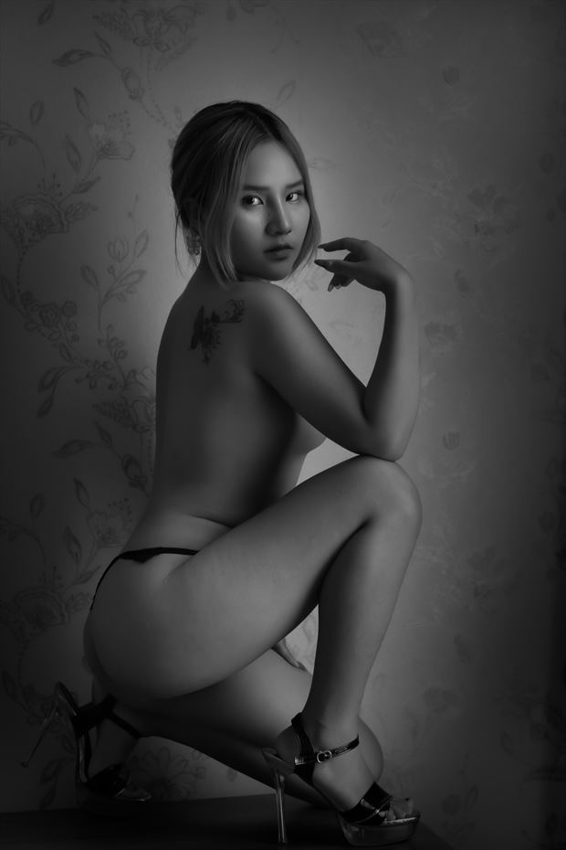 artistic nude glamour photo by photographer thanhnt