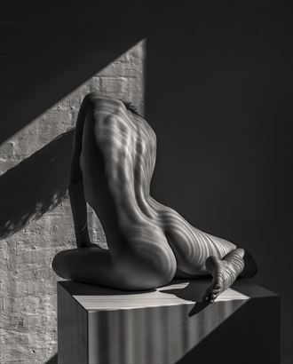 artistic nude implied nude photo by photographer thomasholmphoto