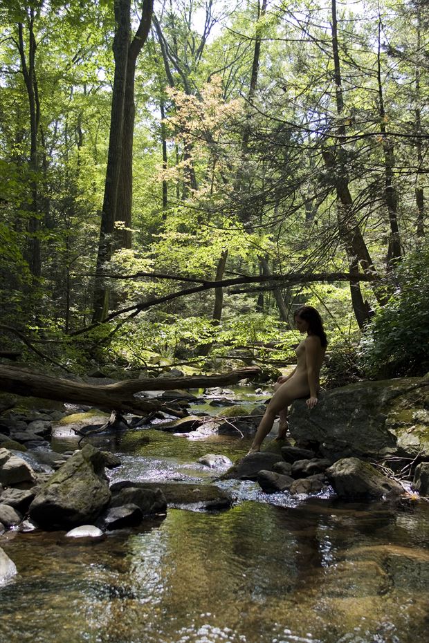 artistic nude in nature artistic nude artwork by photographer tony avellino