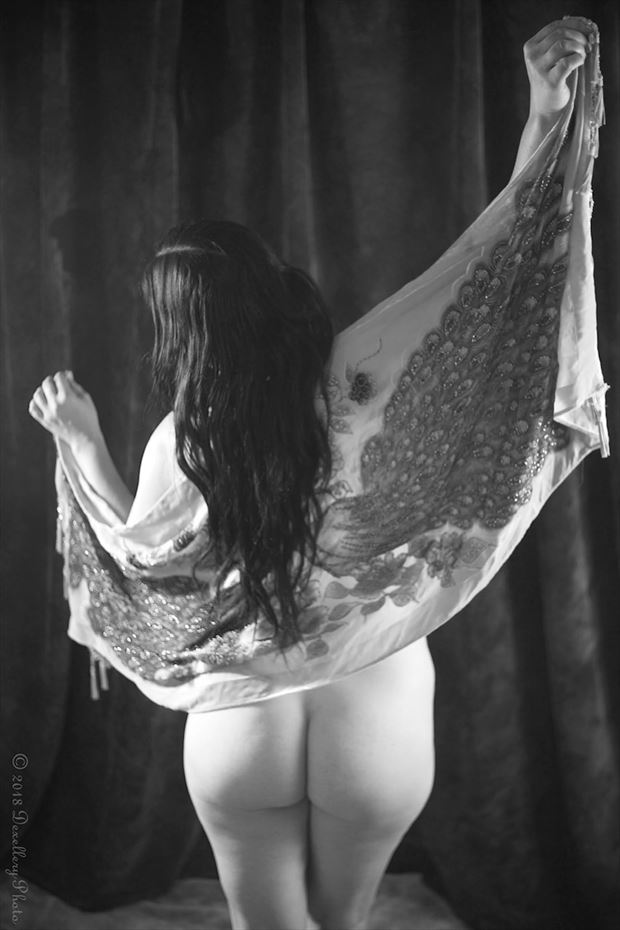 artistic nude lingerie photo by model sara tiara