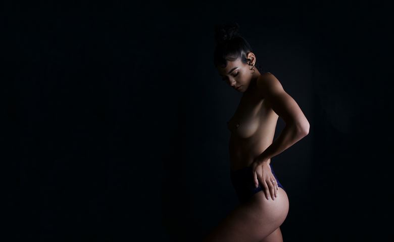 artistic nude lingerie photo by photographer nikzart