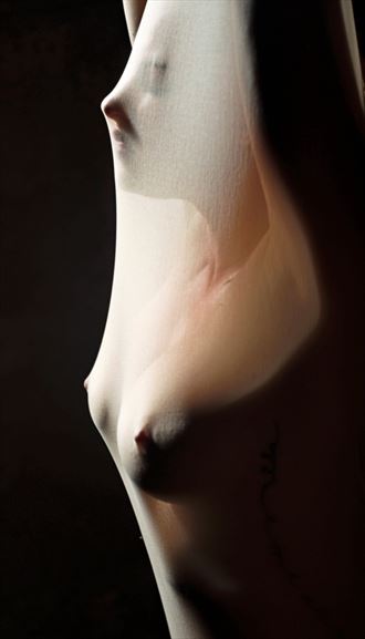 artistic nude natural light photo by photographer werner lobert