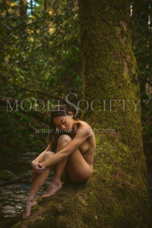 artistic nude nature artwork by model elizabethrose