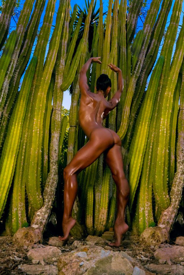 artistic nude nature artwork by model laetitia model