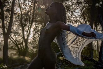 artistic nude nature artwork by model traceycindy