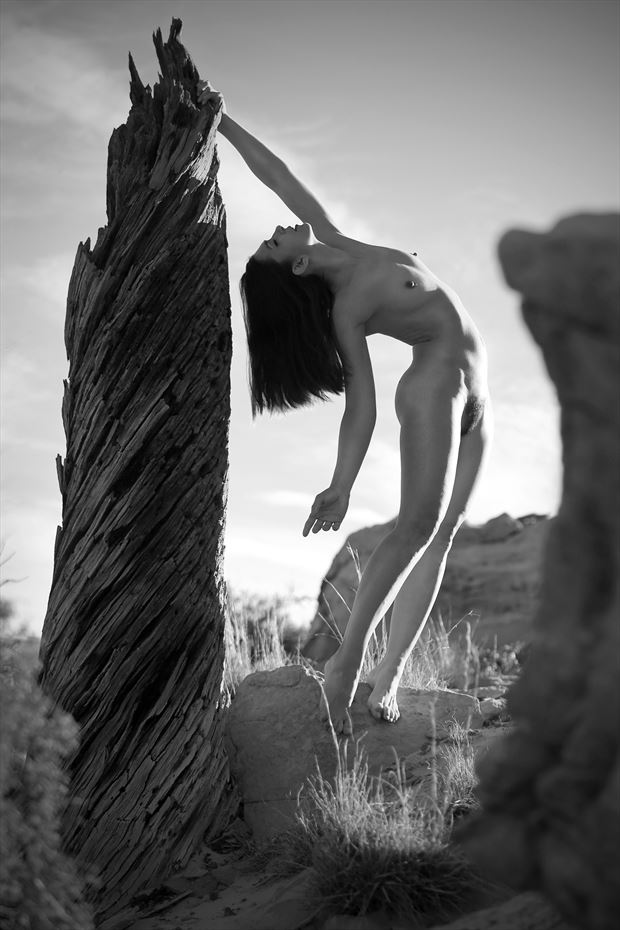 artistic nude nature artwork by photographer altlightphotography