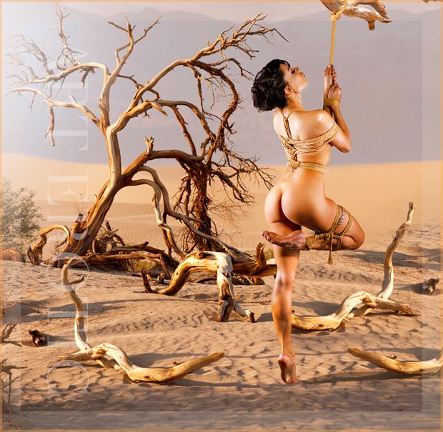artistic nude nature artwork by photographer arterotic