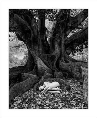artistic nude nature artwork by photographer milan von brunn