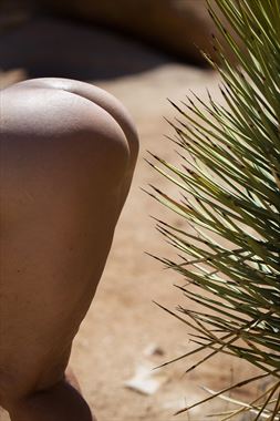 artistic nude nature artwork by photographer mr muze