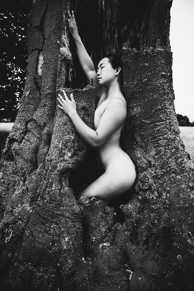 artistic nude nature artwork by photographer trebor draffups