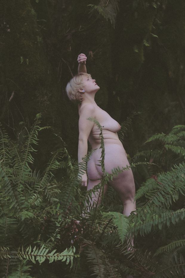 artistic nude nature photo by artist an organized mess
