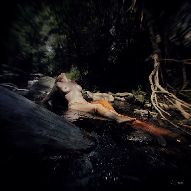 artistic nude nature photo by artist crissial