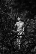 artistic nude nature photo by model carlotta devinia