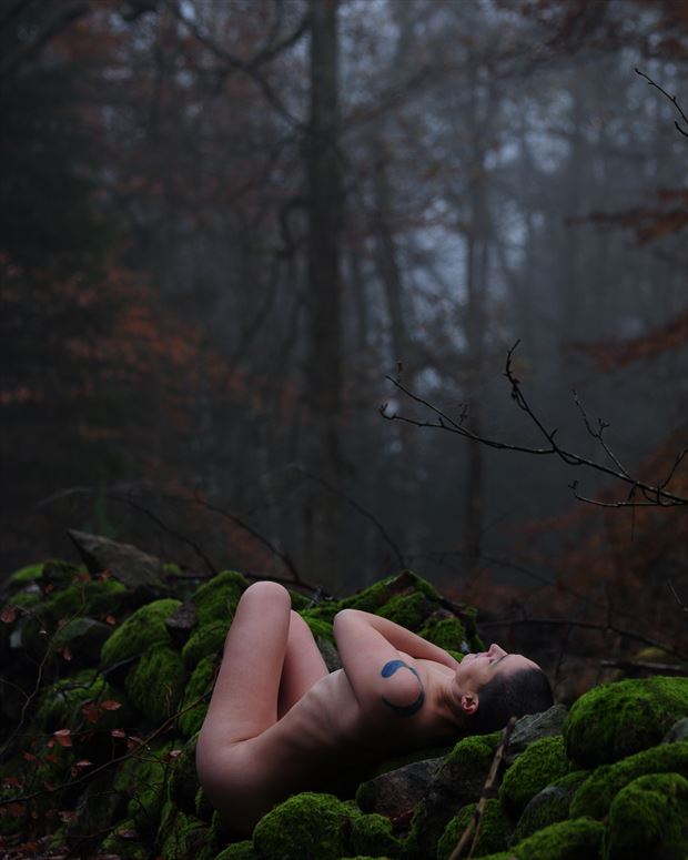 artistic nude nature photo by model linaill 