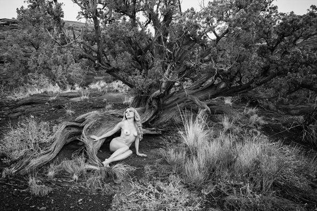 artistic nude nature photo by model missmissy