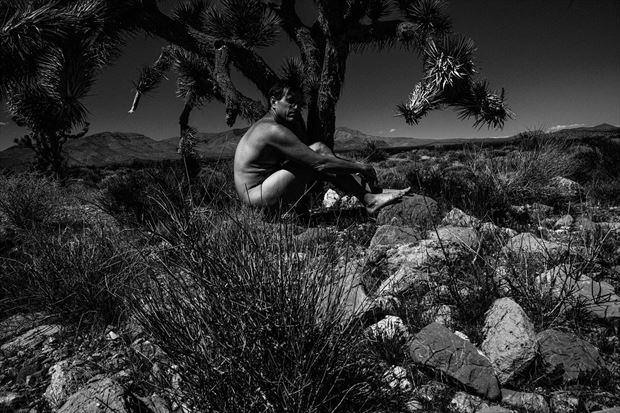 artistic nude nature photo by model phenix raynn