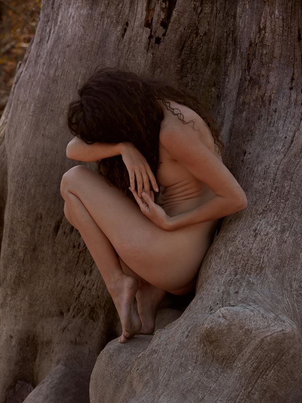 artistic nude nature photo by model vivian cove