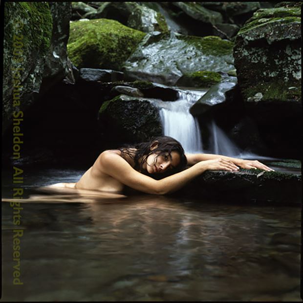 artistic nude nature photo by photographer catskill art nudes