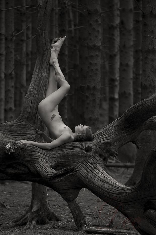 artistic nude nature photo by photographer cd3