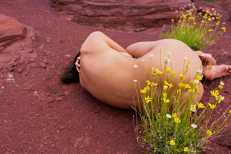 artistic nude nature photo by photographer craftedpixelstudios