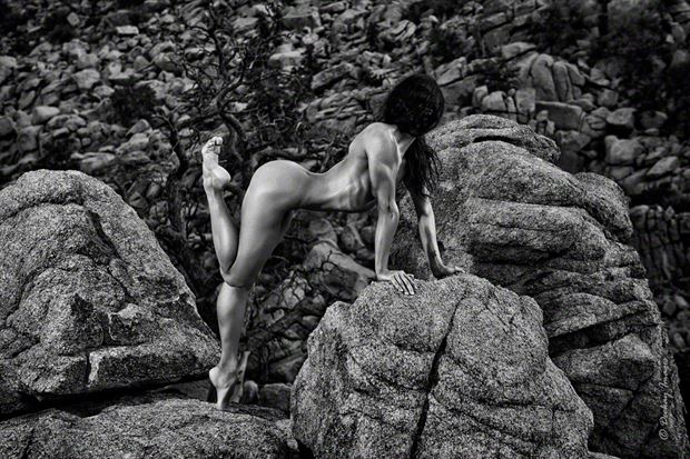 artistic nude nature photo by photographer deekay images