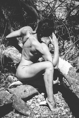 artistic nude nature photo by photographer djr images