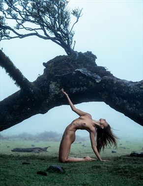 artistic nude nature photo by photographer ellis