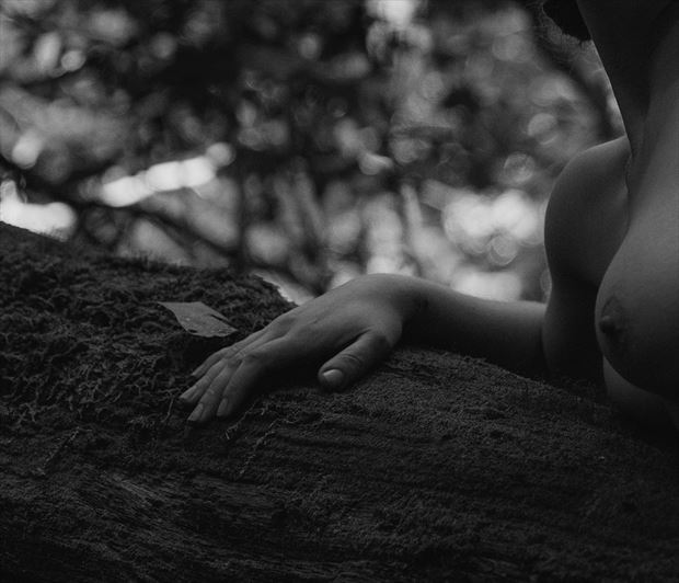 artistic nude nature photo by photographer endearing journey