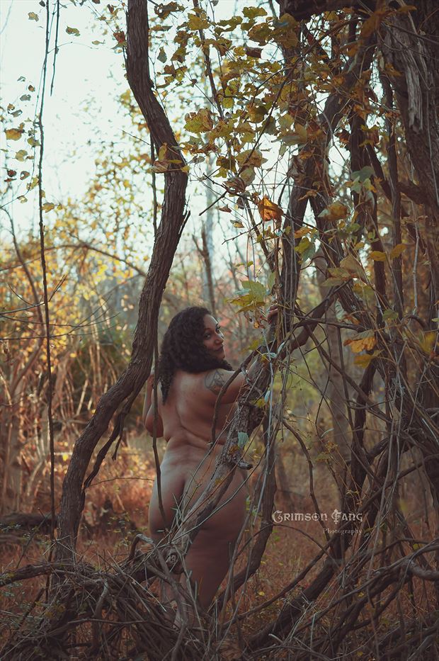 artistic nude nature photo by photographer fayev