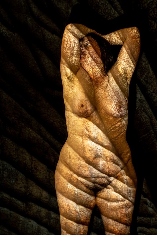 artistic nude nature photo by photographer gorazd golob