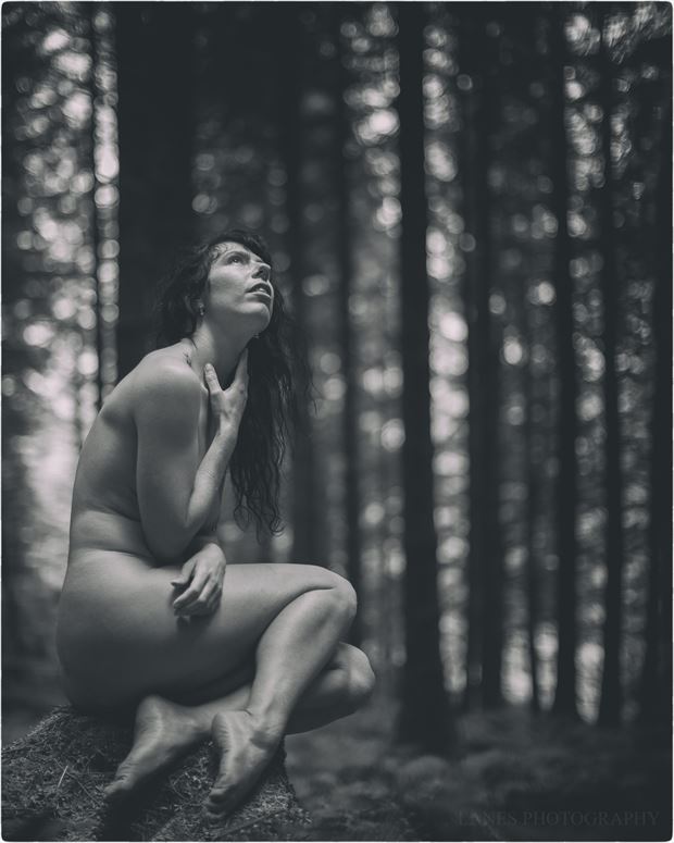 artistic nude nature photo by photographer lanes photography