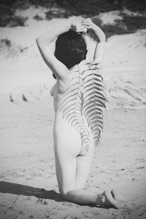 artistic nude nature photo by photographer msl photography