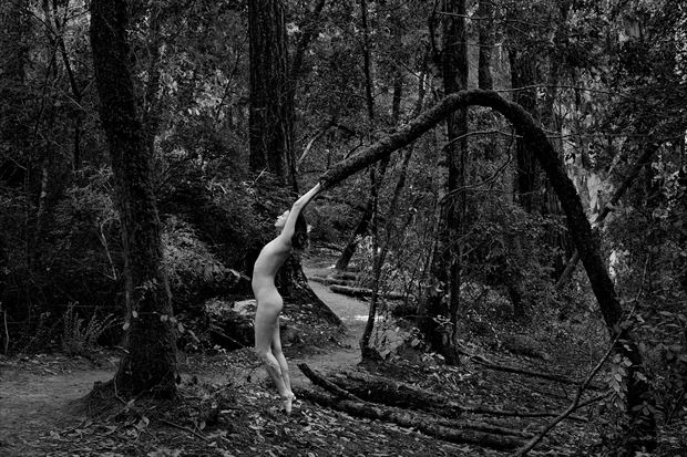 artistic nude nature photo by photographer nimblephotons