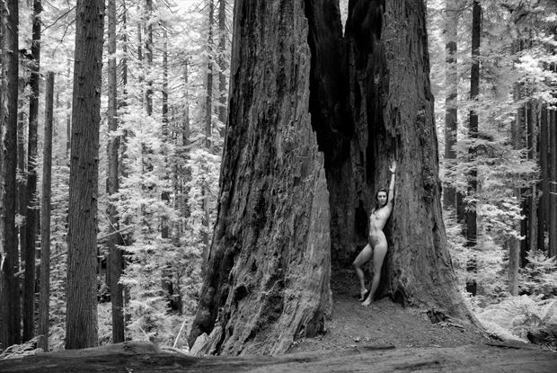 artistic nude nature photo by photographer nostalgia studios
