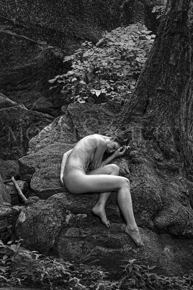 artistic nude nature photo by photographer richard evans photography