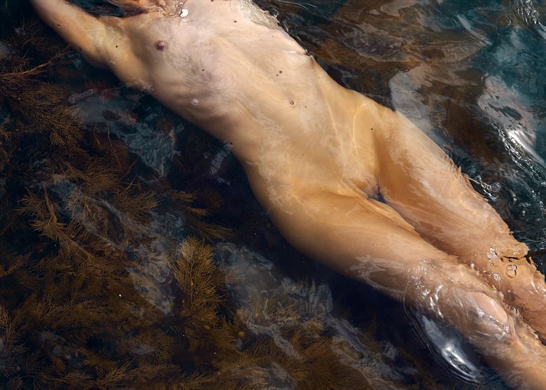 artistic nude nature photo by photographer stephane michaux
