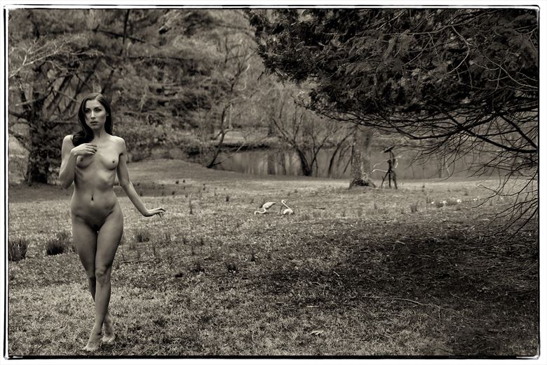 artistic nude nature photo by photographer stevelease