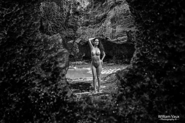 artistic nude nature photo by photographer william vaux
