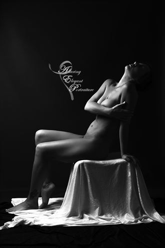 artistic nude photo by photographer alluring elegant 