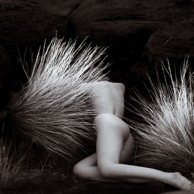 artistic nude photo by photographer don a