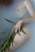 artistic nude sensual artwork by photographer yinka