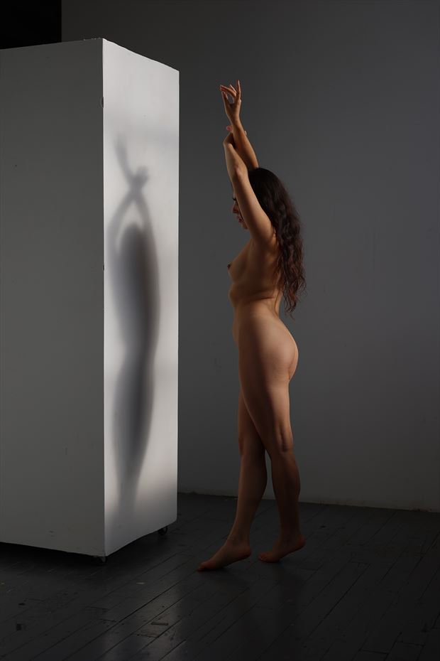 artistic nude silhouette photo by model madisonoakley