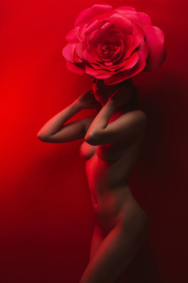 artistic nude silhouette photo by photographer dbella