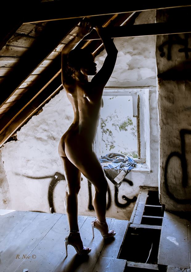 artistic nude silhouette photo by photographer r noe 