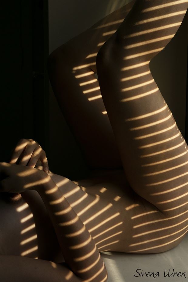 artistic nude silhouette photo by photographer sirena wren