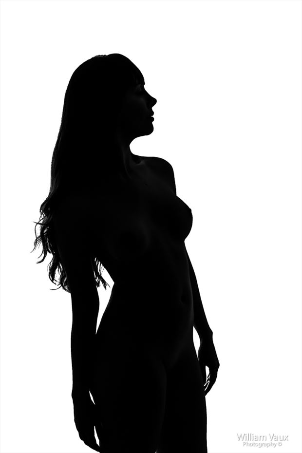 artistic nude silhouette photo by photographer william vaux