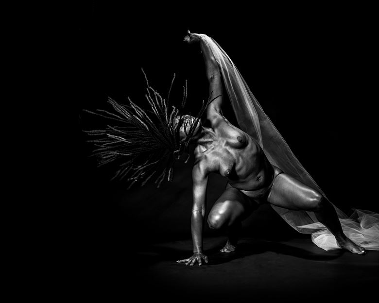 artistic nude studio lighting artwork by photographer daniel meshel