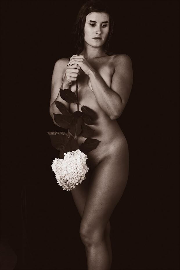 artistic nude studio lighting photo by model kay sylvan