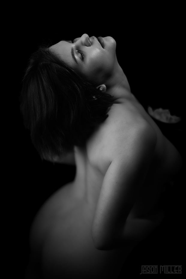 artistic nude studio lighting photo by photographer jasonmiller