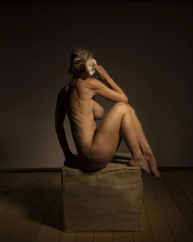 artistic nude studio lighting photo by photographer milchuk